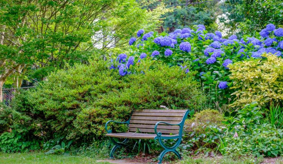In 1980, this scientist’s garden in the Dandenong Ranges was donated to the state; today, it’s thriving with colourful spring blooms