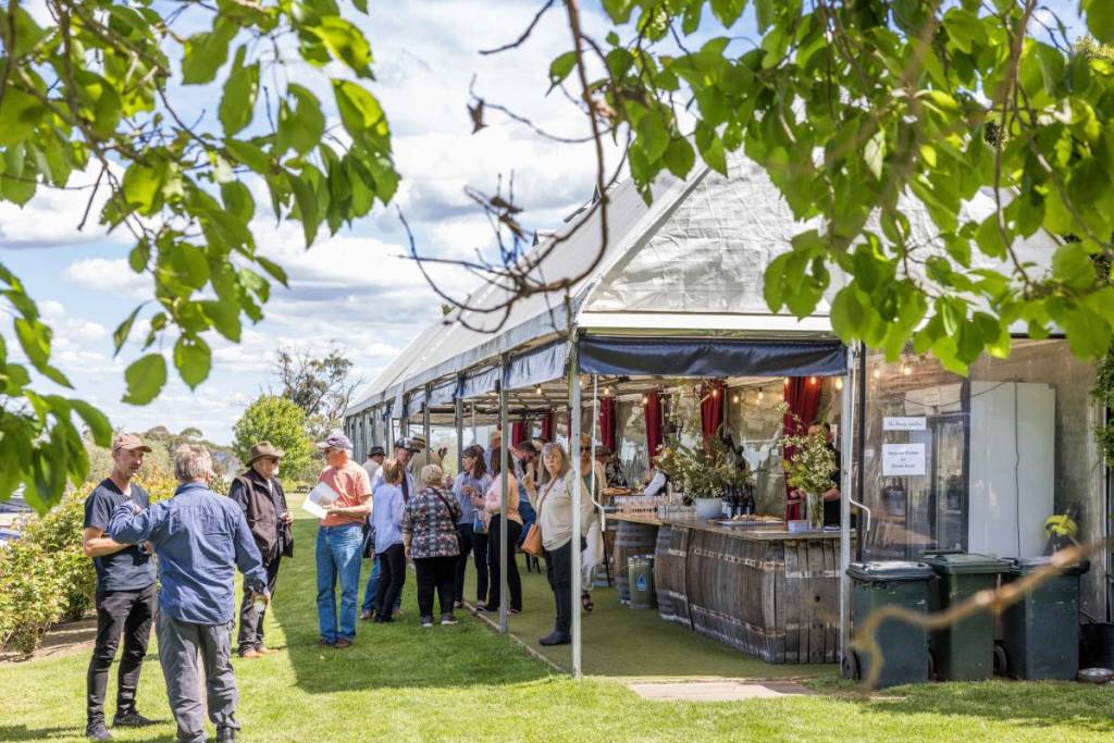 people under the marquee at Hanging Rock Winery, photo is framed by green leaves