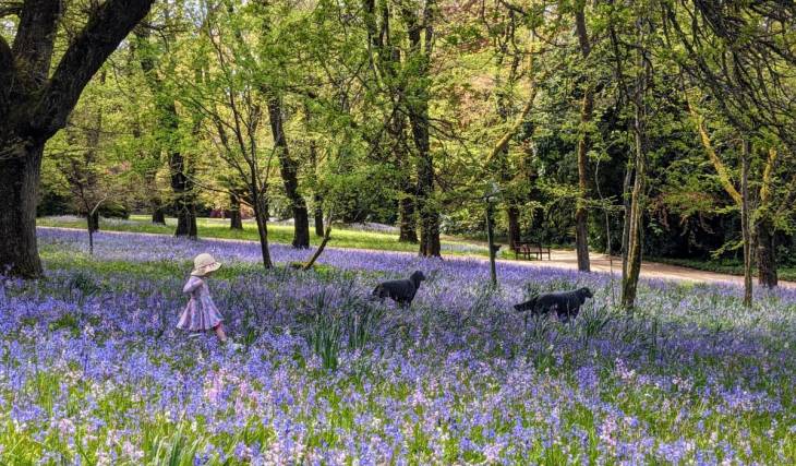 This 1870s estate, just one hour from Melbourne, will soon host a beautiful bluebell festival with garden tours, wine and scones
