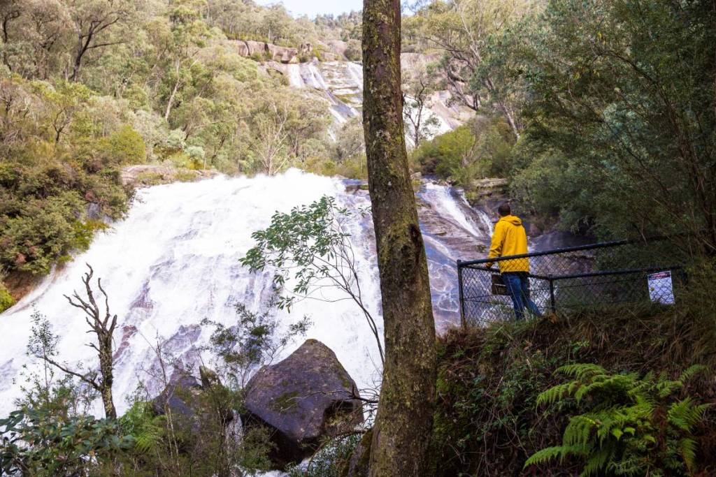 person looking at Eurobin Falls from platform