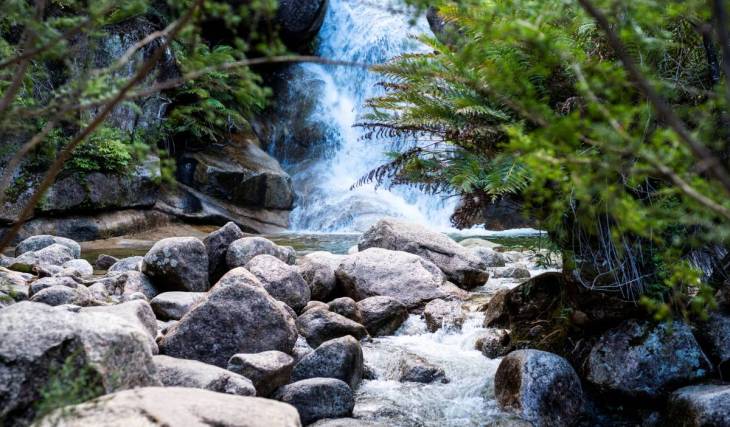 In the 1930s, travellers from Melbourne would cool off in this crystal-clear pool near Bright; today, it beckons with tumbling cascades and a forest trail