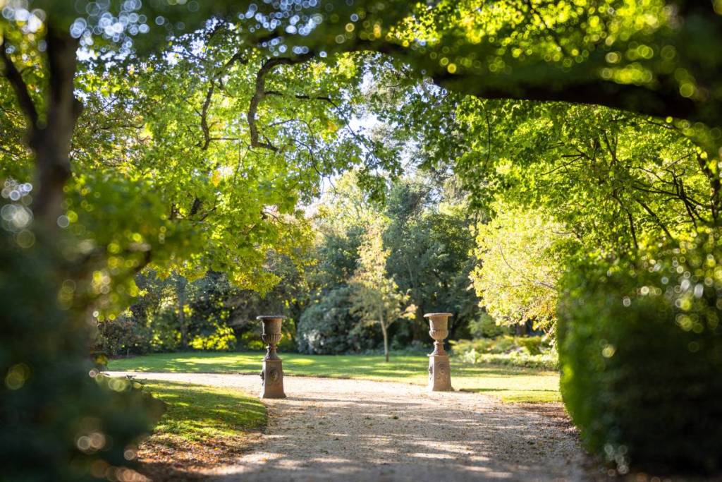 bright green trees over a path in Wombat Park Estate