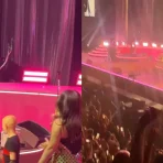 Hilary Duff dances with young fan at Melbourne concert