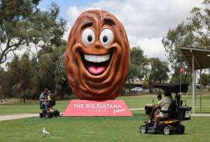 Australia’s newest Big Thing has landed in Victoria, and it’s a 1,250kg sultana