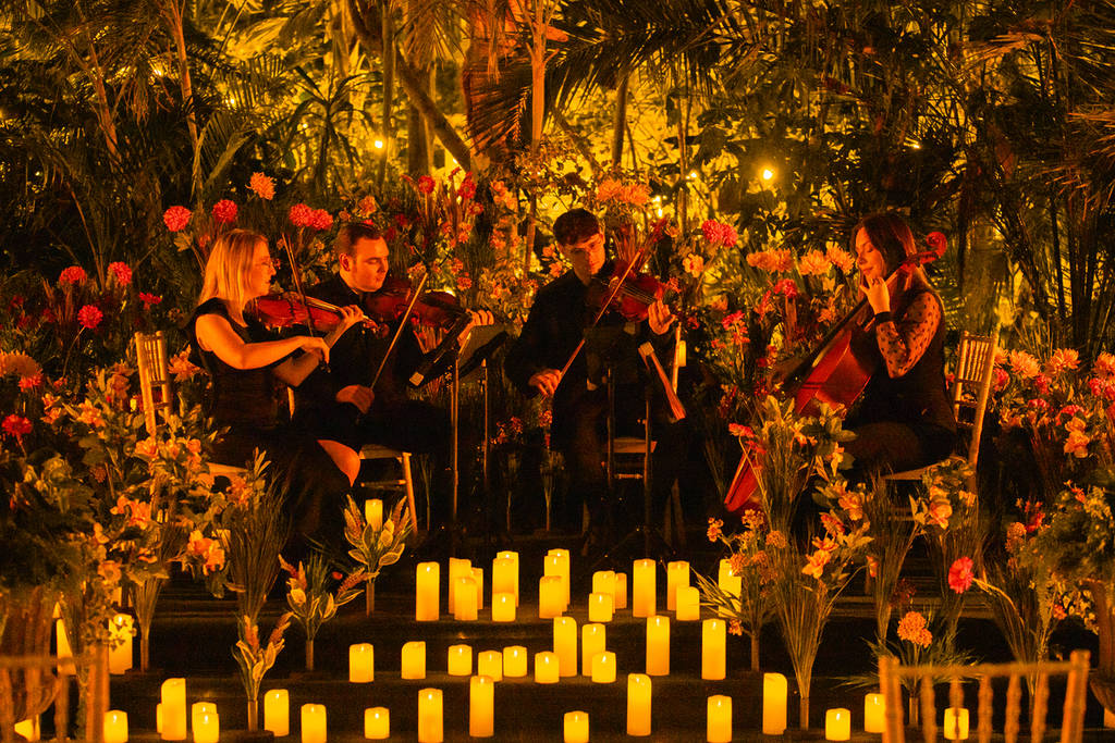 Músicos do Candlelight Concert rodeados por flores