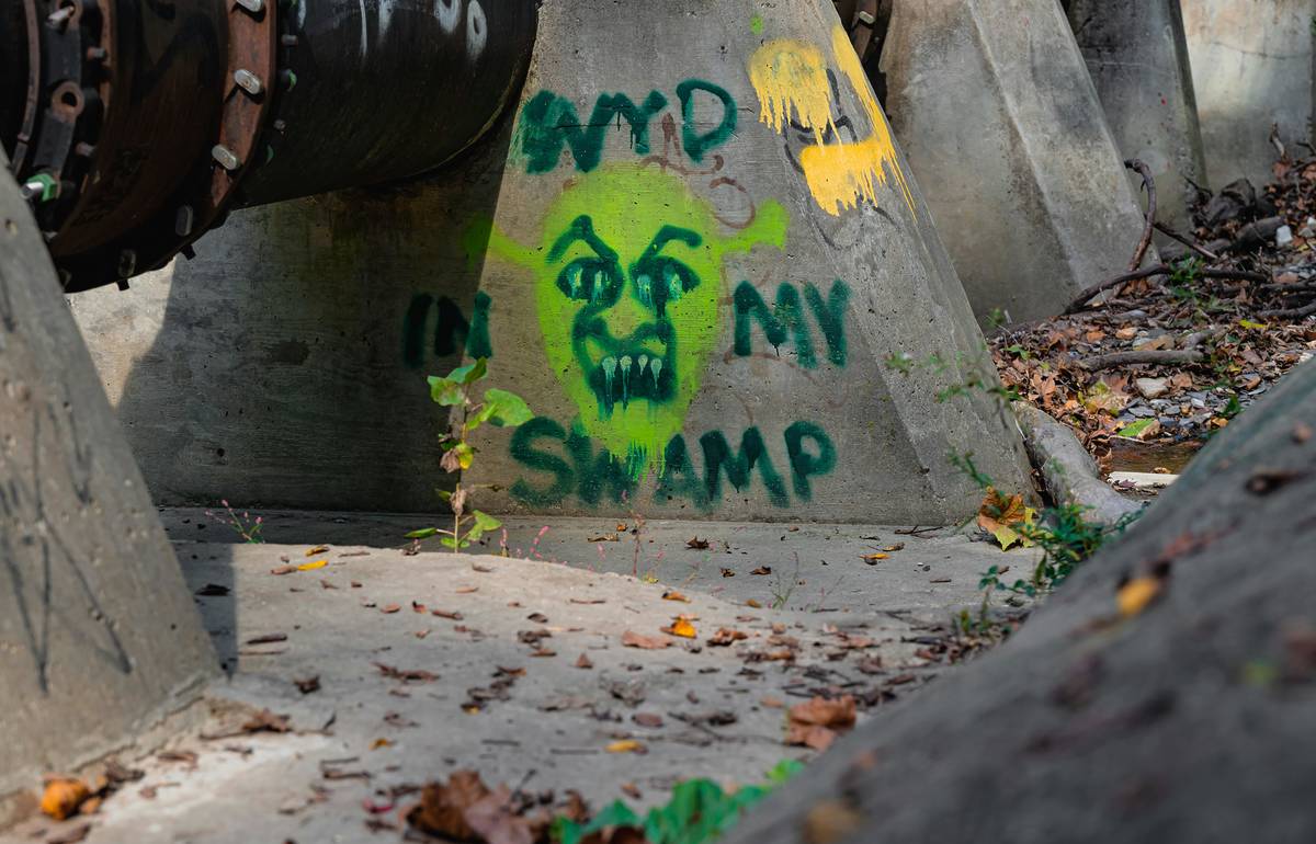 Swamp Shrek spray paint