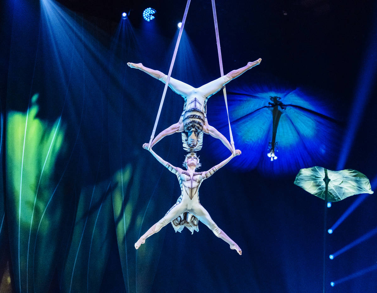Cirque du Soleil OVO