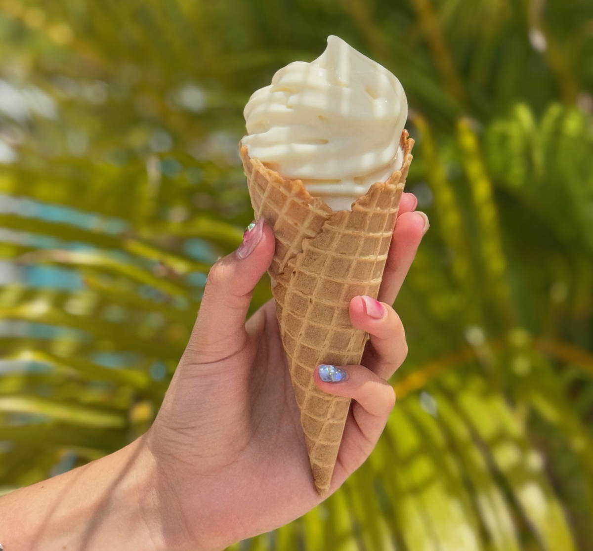 Ice cream at Jungle Island