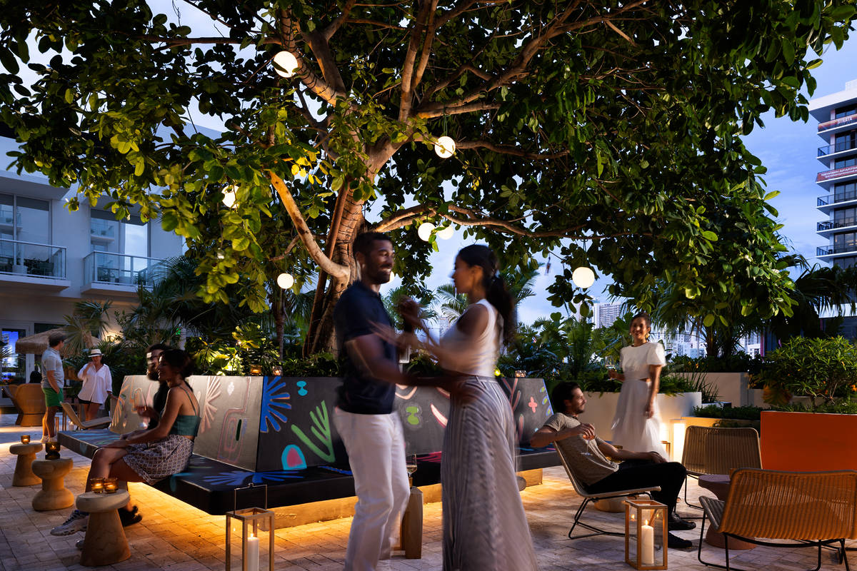 Arlo Wynwood lifestyle photo Higher Ground