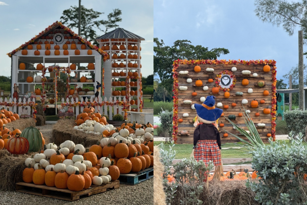 El huerto de calabazas de The Berry Farm