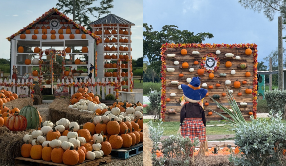 23 cosas fantásticas que hacer este otoño en Miami: la lista definitiva de cosas que hacer en otoño