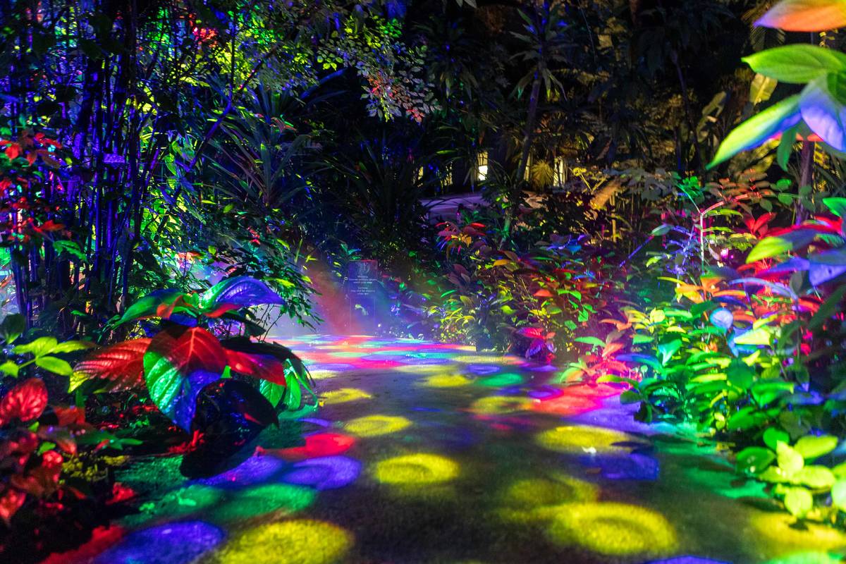 Fairchild's Night at the Garden