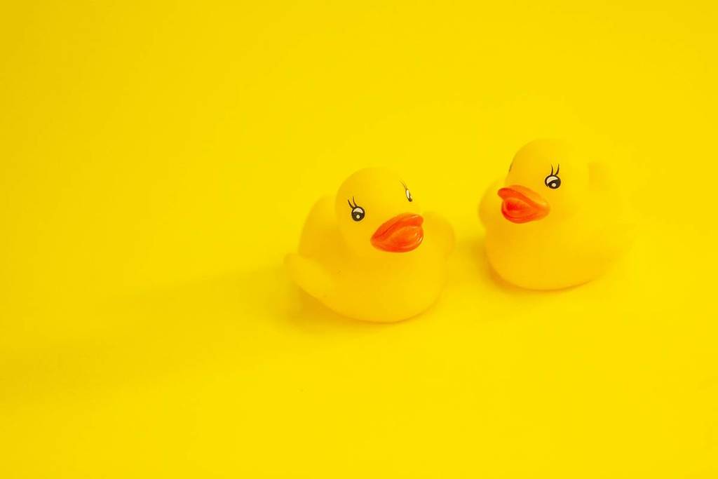 Des canards en caoutchouc sur une surface jaune