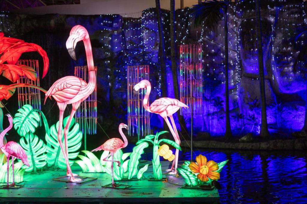 Farolillos de flamencos luminosos