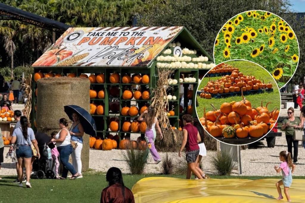 The Berry Farm Harvest Festival