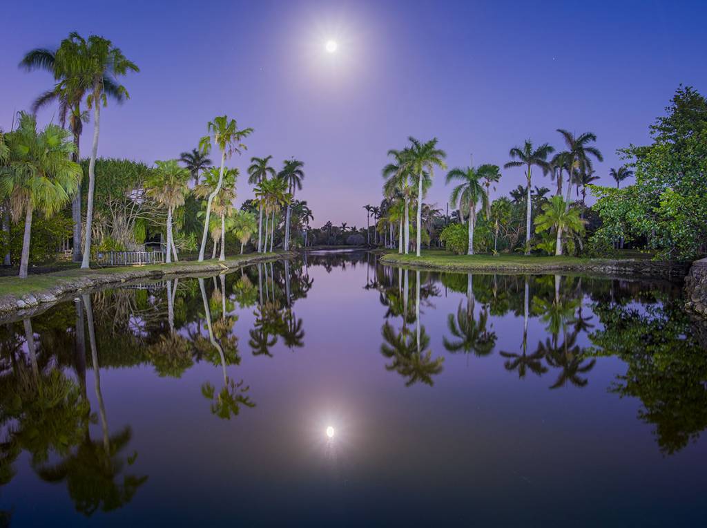 O Jardim Botânico Tropical Fairchild à noite
