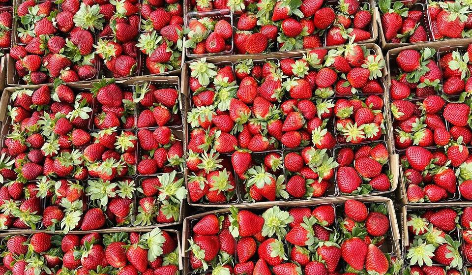 Las 15 mejores cosas que hacer en Miami este fin de semana: del 6 al 8 de febrero