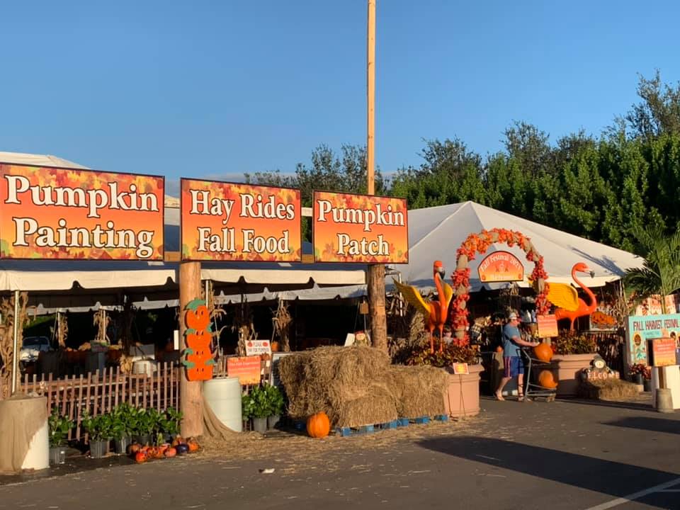 Flamingo Road Nursery and Farmers Market