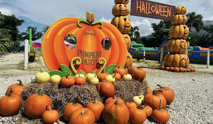 Les 20 meilleures choses à faire à Miami en septembre 2026, d’un labyrinthe de maïs de 5 acres à une fête de quartier à South Beach qui fête ses 100 ans