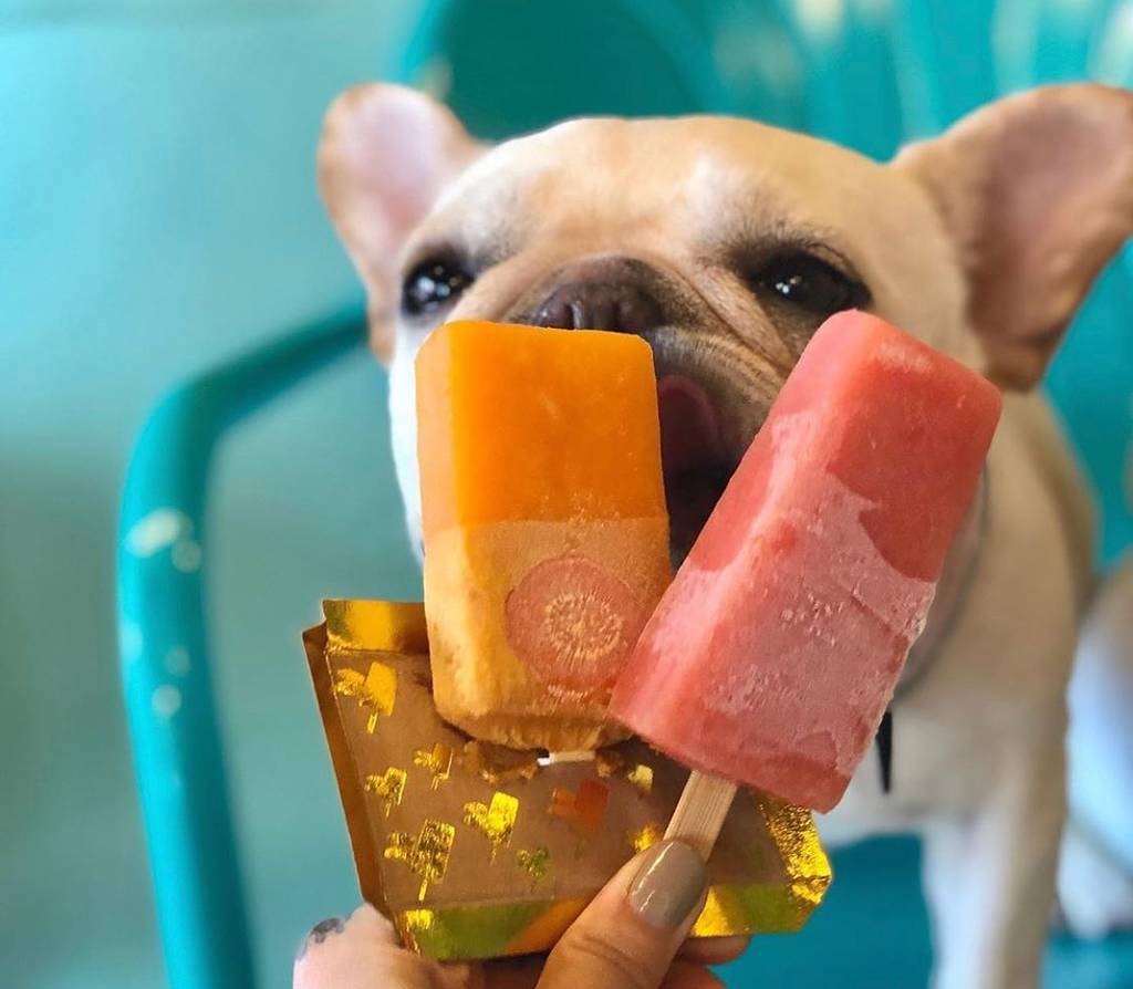 Cielito Artisan Pops pup
