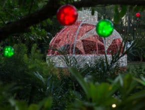 14 melhores lugares para admirar as deslumbrantes luzes de Natal em Miami neste inverno