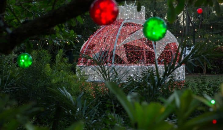 10 Dazzling Holiday Lights In Miami That Make It The Most Magical Place To Be This Season