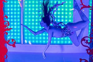 Museum of Sex Miami