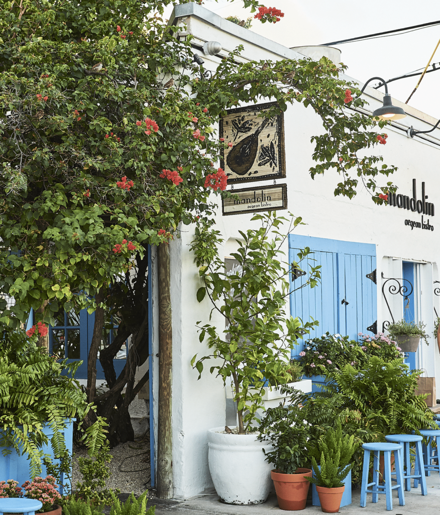 Mandolin Aegean Bistro