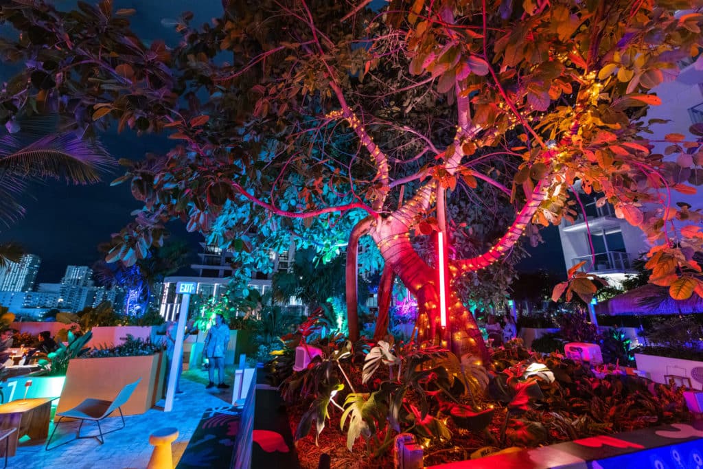 20 Of The Best Cocktail Bars In Miami For Your Next Night Out