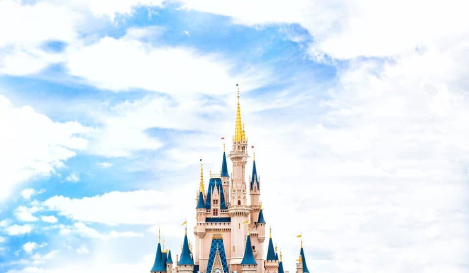 A Black Bear On A Tree Was Spotted In Walt Disney World