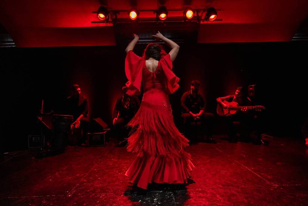 Patricia Donn Flamenco dancer