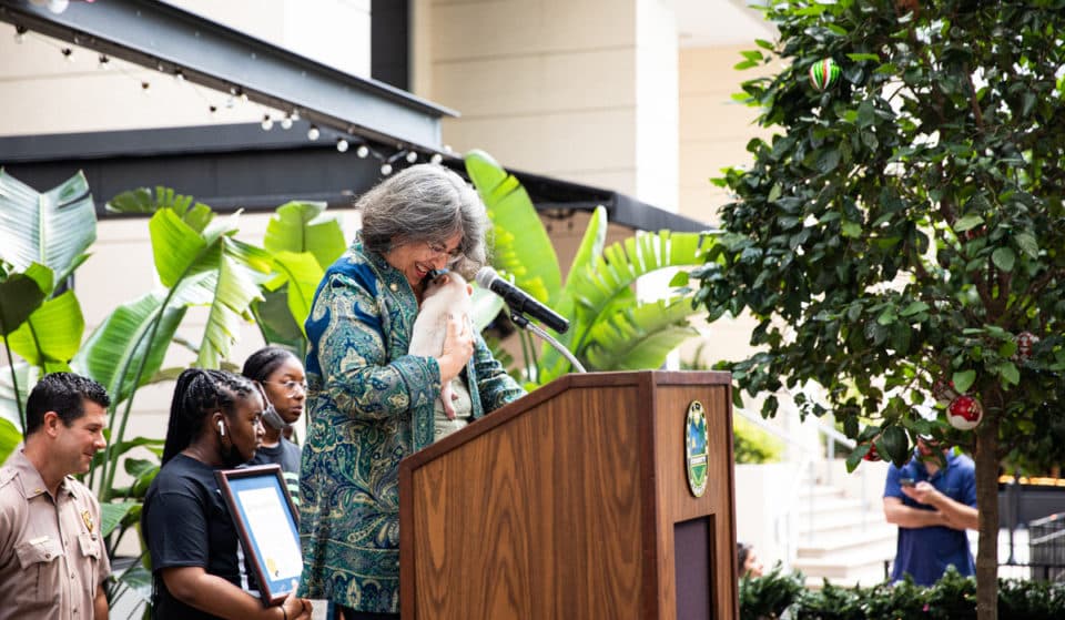 La maire de Miami-Dade graciera les cochons &lsquo;Glinda&rsquo; et &lsquo;Elphaba&rsquo; lors de la 7e cérémonie annuelle de pardon