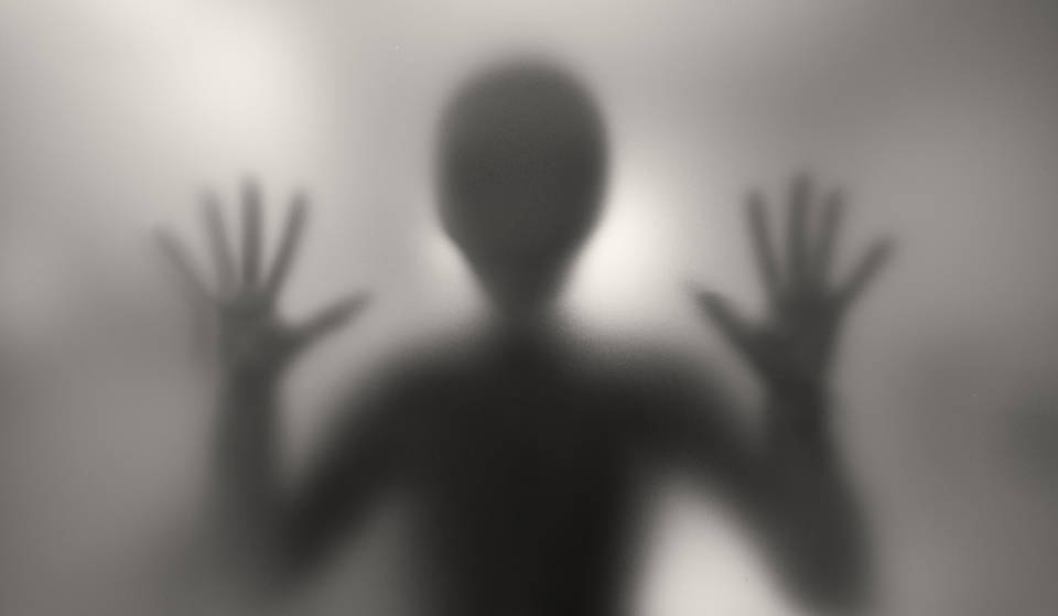 Viral Video Taken Of Bayside In Downtown Miami Sparks Theories Of 10-Foot Aliens