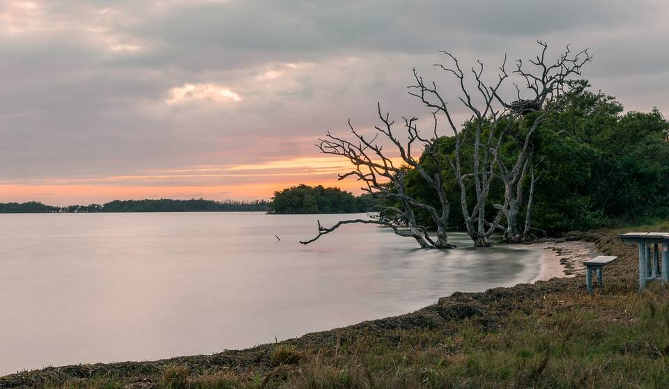 Flamingo, FL Has Been Named One Of The Best Places To Visit In 2024 By The New York Times