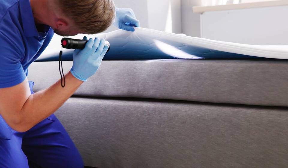 A Study Has Named Florida The Most Pest-Infested State In The Country