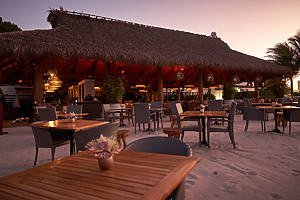 6 Beautiful Miami Beach Bars For Delicious Drinks & Ocean Views