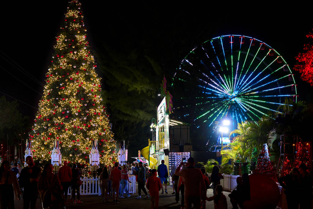 Weihnachtsbaum und Auge im Himmel im Weihnachtswunderland