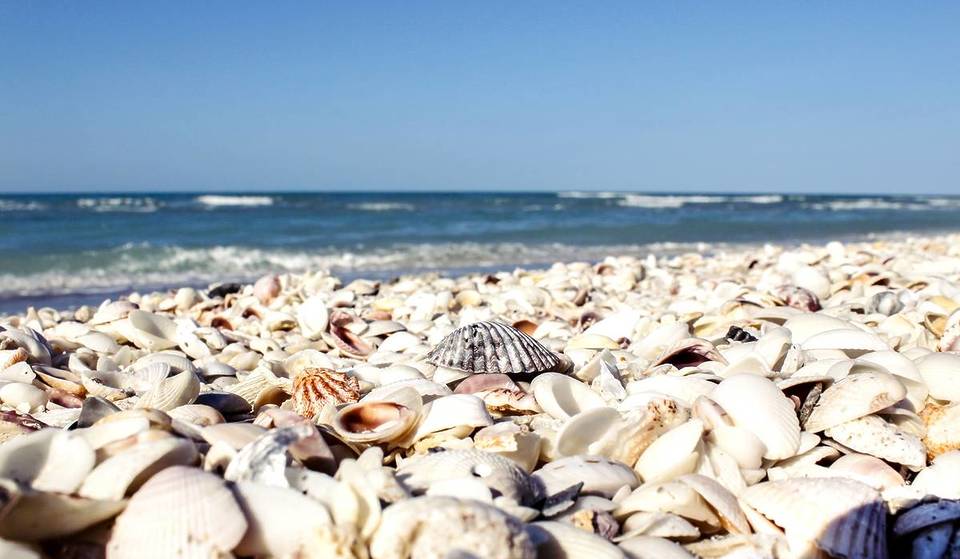 Nomeada uma das melhores praias do mundo, esta tranquila escapada na Flórida é um paraíso para os pescadores