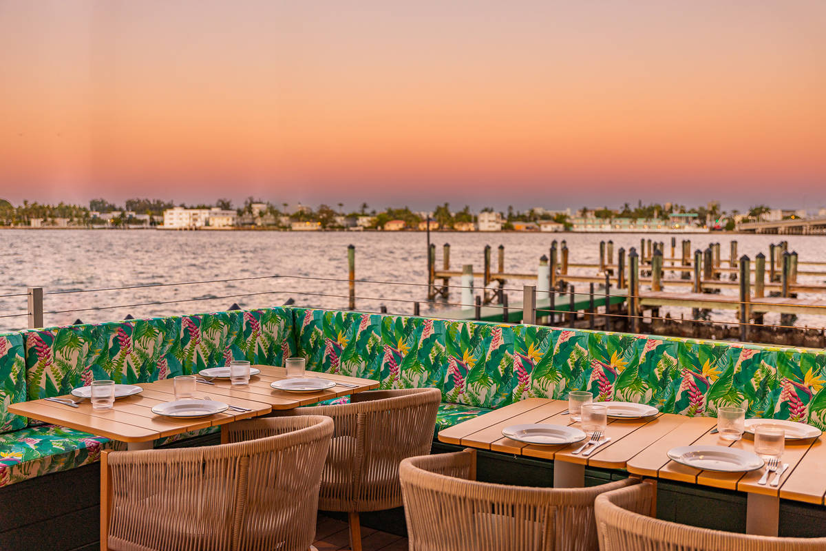Palm Tree Club Dock View