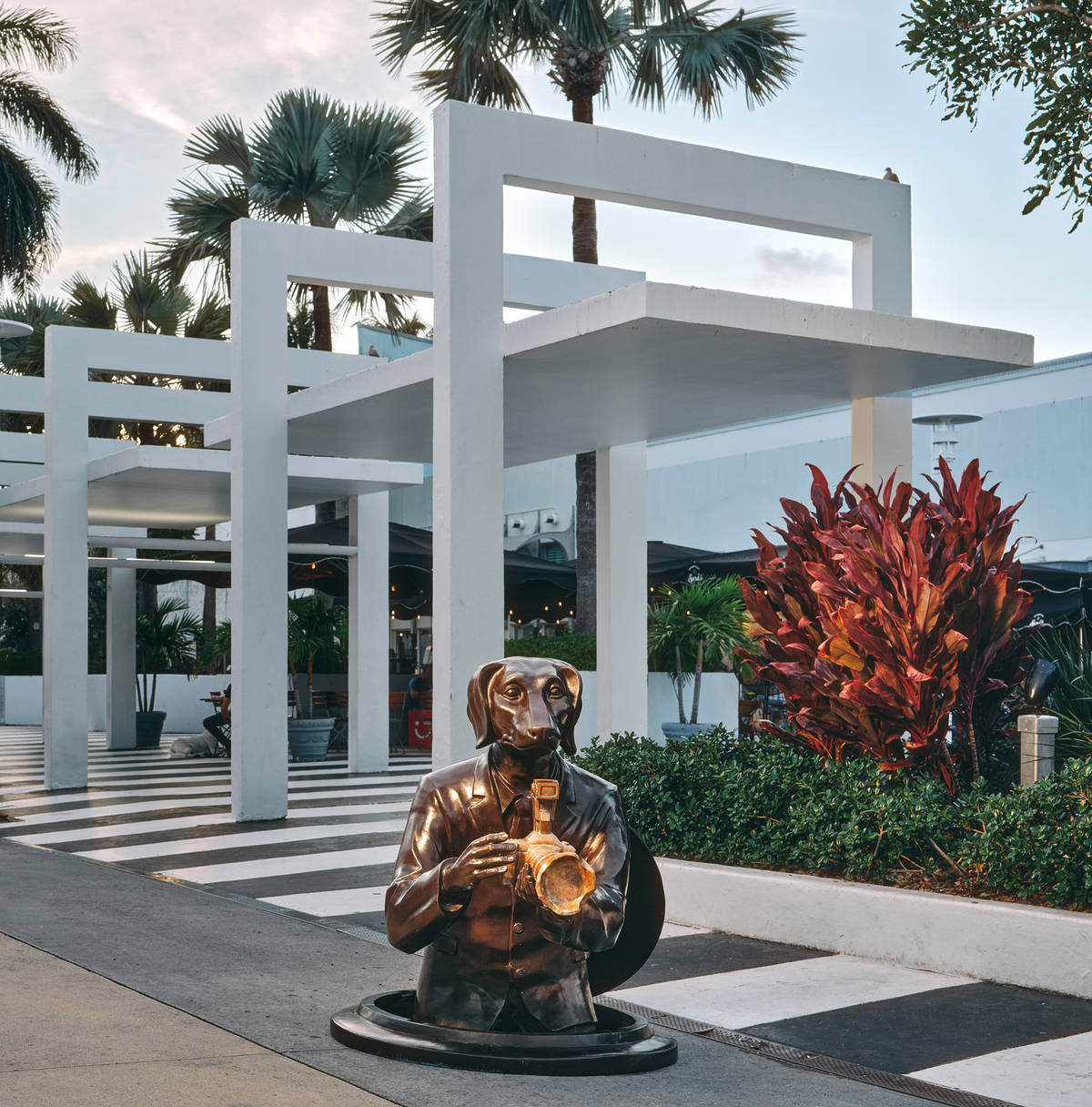 “Watch Out for Paparazzi Dog” on display at Lincoln Road