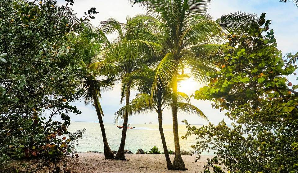 This Airline&#8217;s First-Ever Nonstop Route From Fort Lauderdale To Key West Will Take Off In November