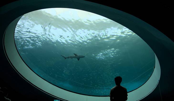 10 dos melhores museus de Miami que não são nada chatos: Um guia completo