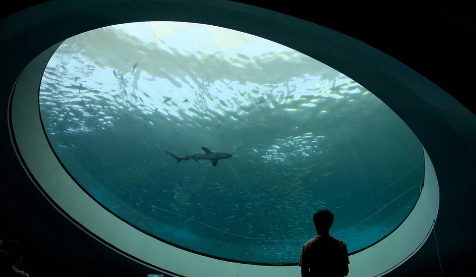 10 dos melhores museus de Miami que não são nada chatos: Um guia completo
