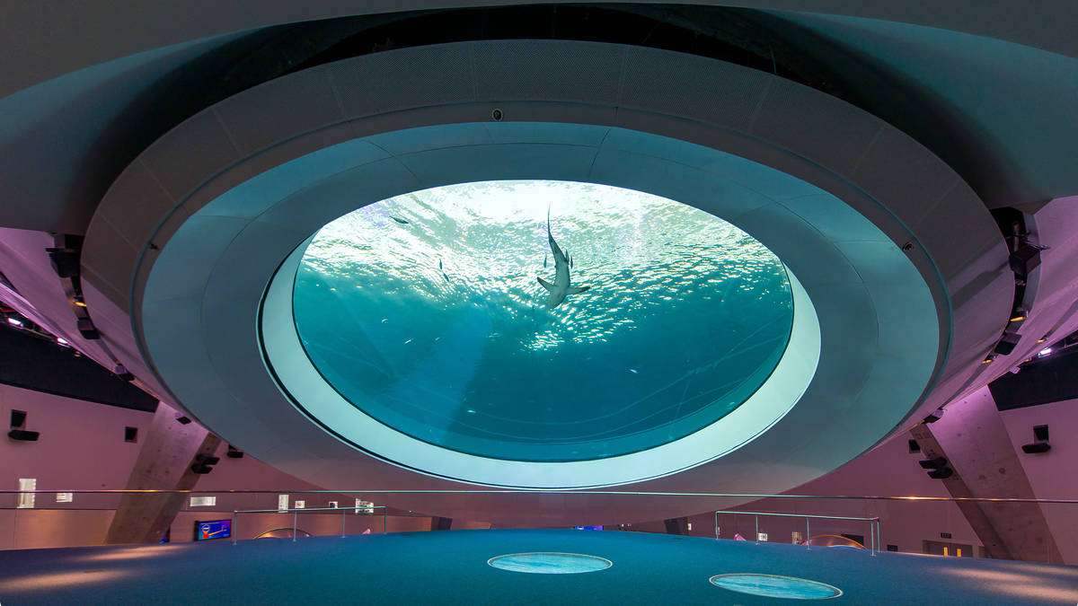 Gulf Stream Aquarium Exhibit, The Deep