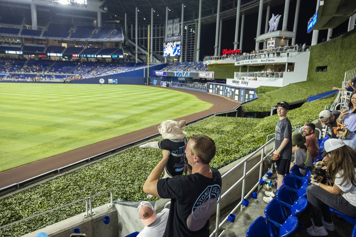 Apr 3, 2023; Miami, Florida, USA; Bark at the Park at loanDepot park.