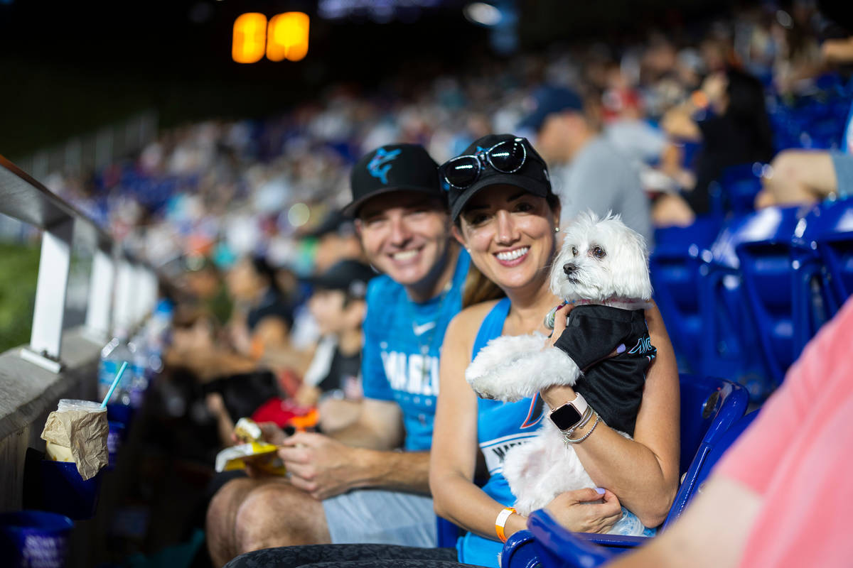 Jun 25 2023; Miami, Florida, USA; Bark at the Park at loanDepot park.