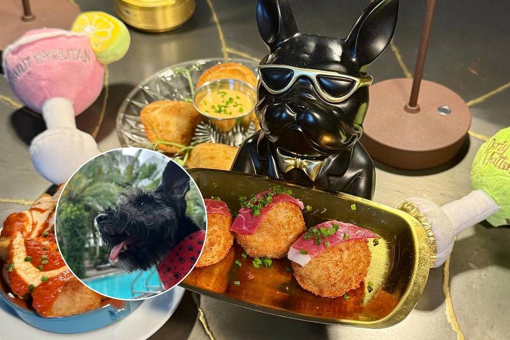 The National Hotel Yappy Hour