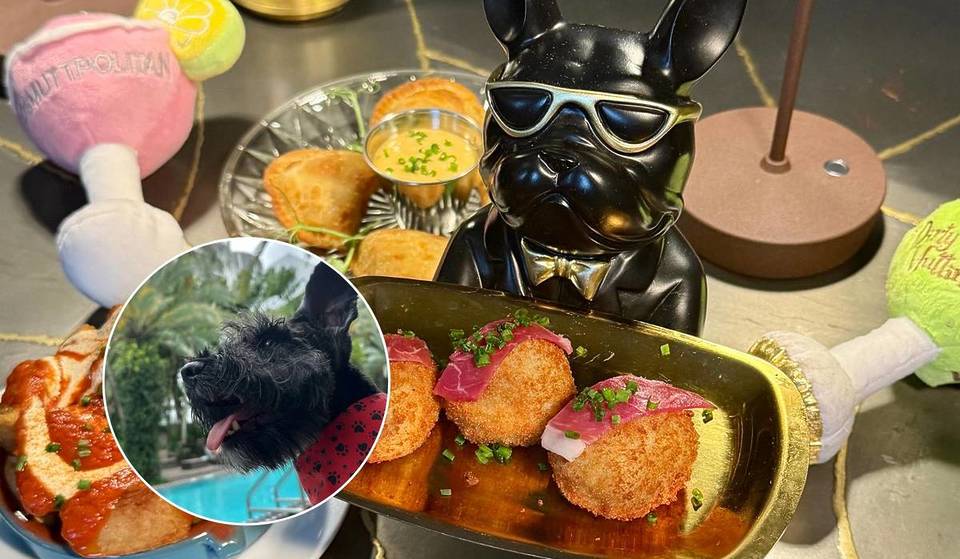 Este happy hour em Miami Beach permite que você beba com seu cachorro enquanto ajuda um resgate local