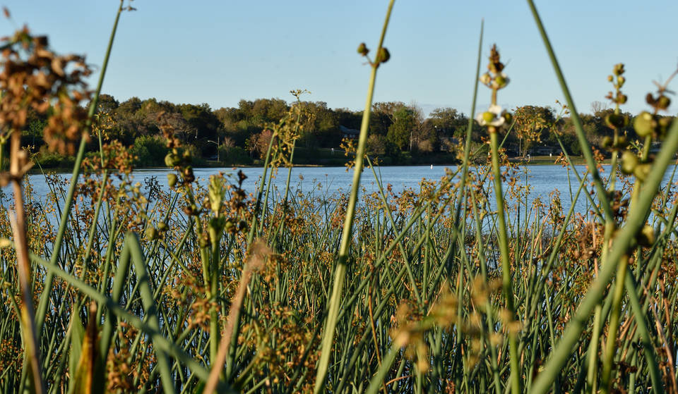 Esta cidade da Flórida a poucos minutos da Disney tem o nome mais &#8220;difícil&#8221; de pronunciar &#8211; e é conhecida como &#8220;o centro da boa vida&#8221;