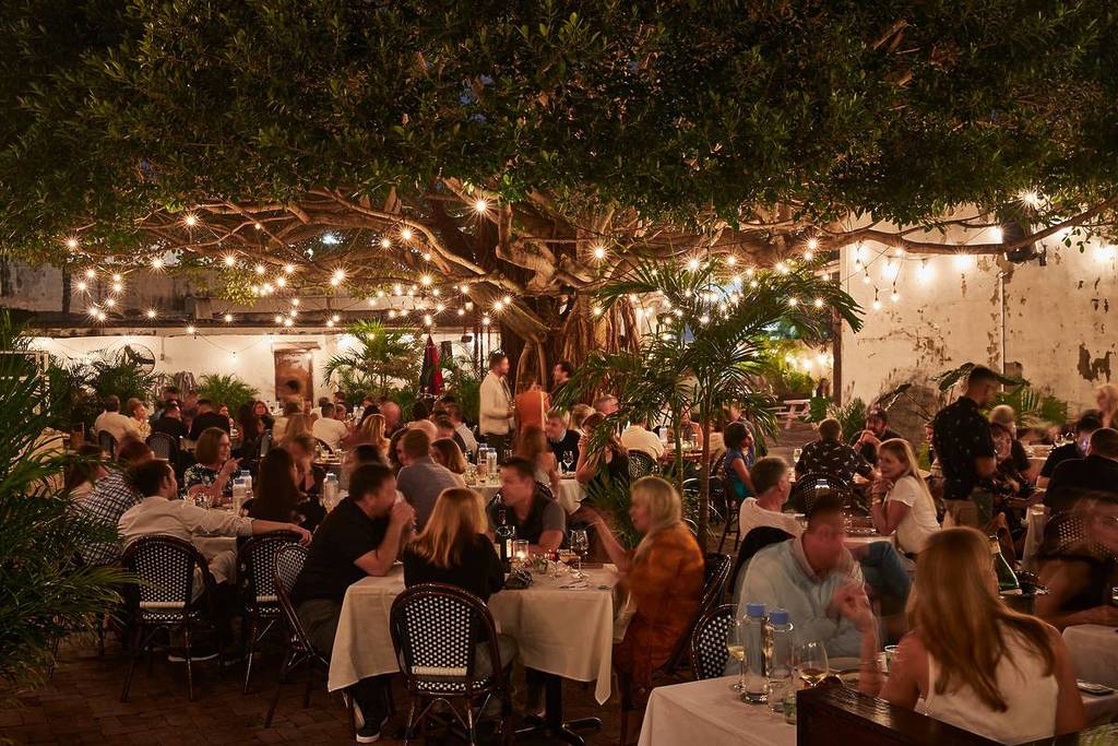 Sunny's Miami outdoor tree